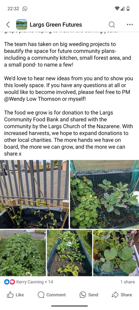 Barrfield Community Garden.jpg