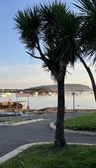 Home for a new Film Club