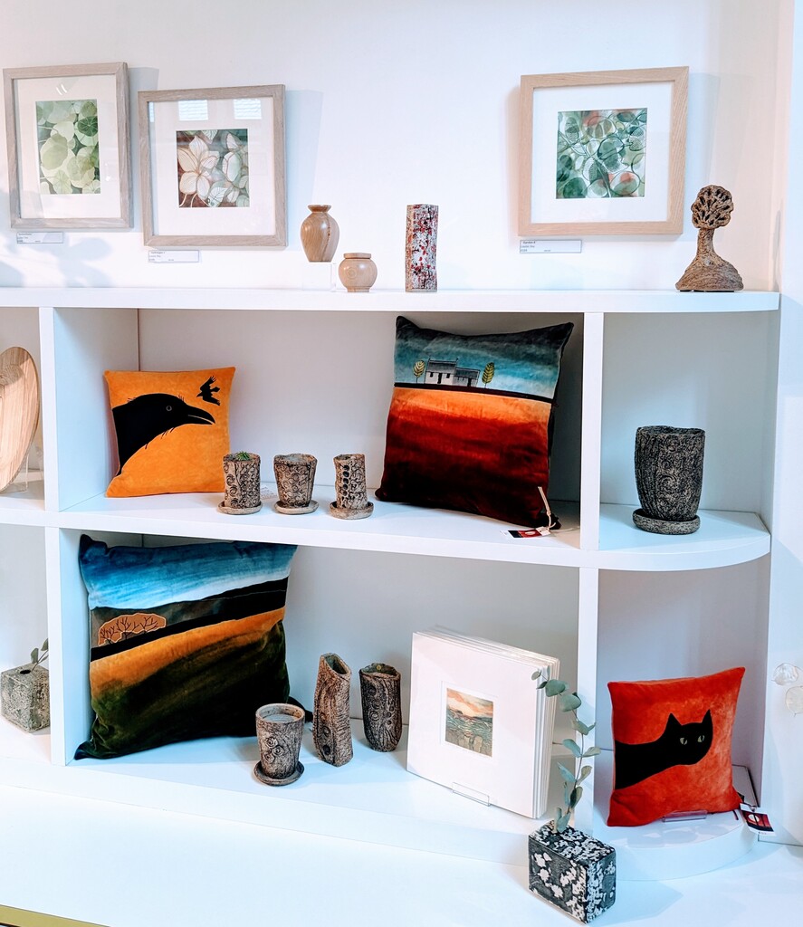 Some of the items available in the shop. 