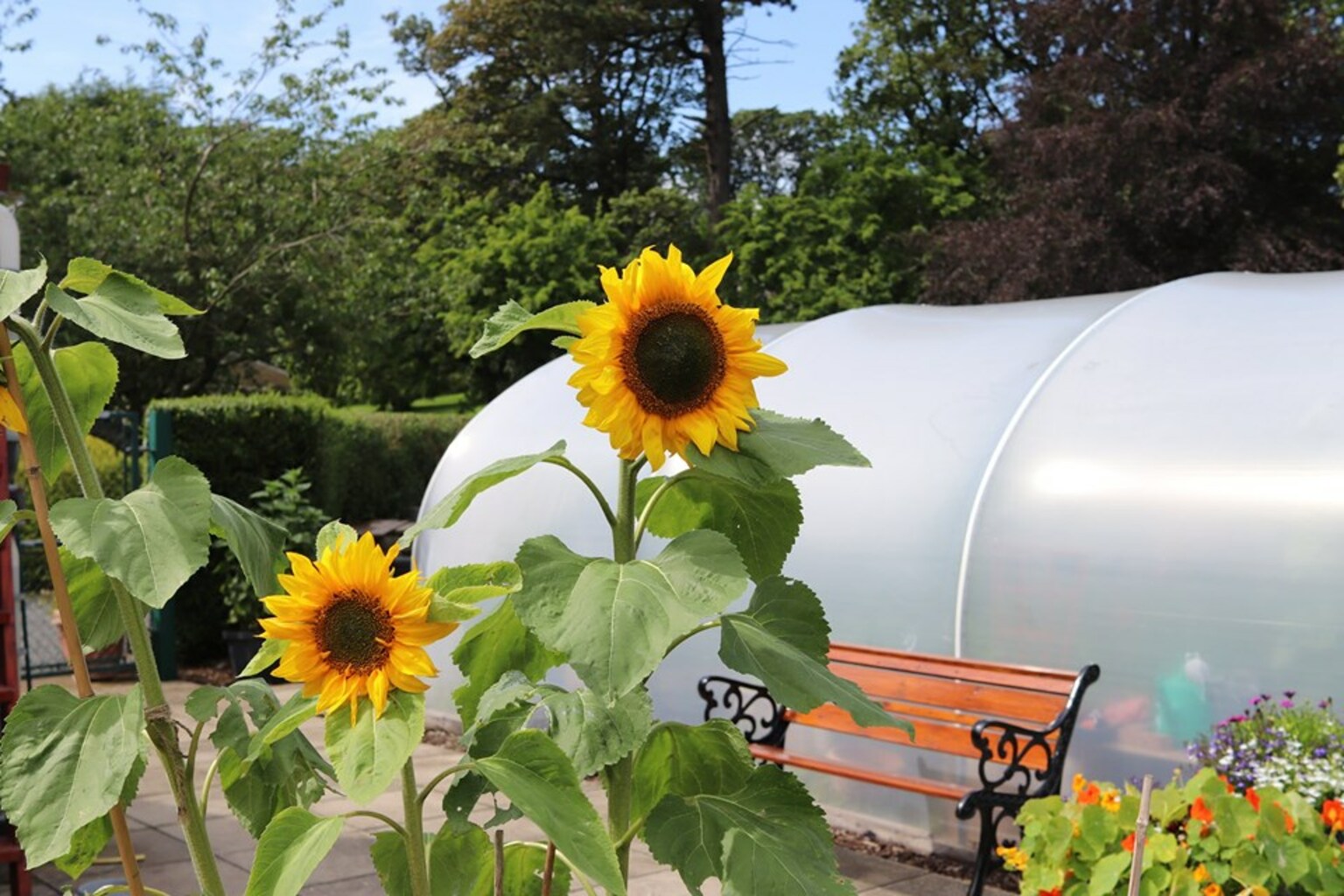 Cumbrae Community Garden
