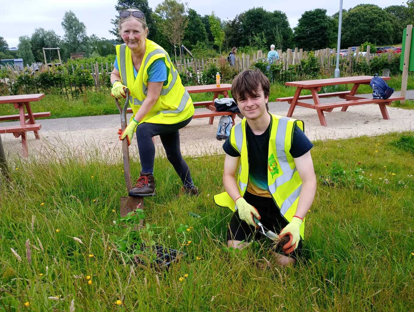 Planting wild flowers