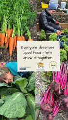 Local food growing- better for health and the environment.png