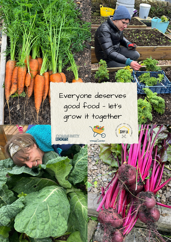 Local food growing- better for health and the environment.png