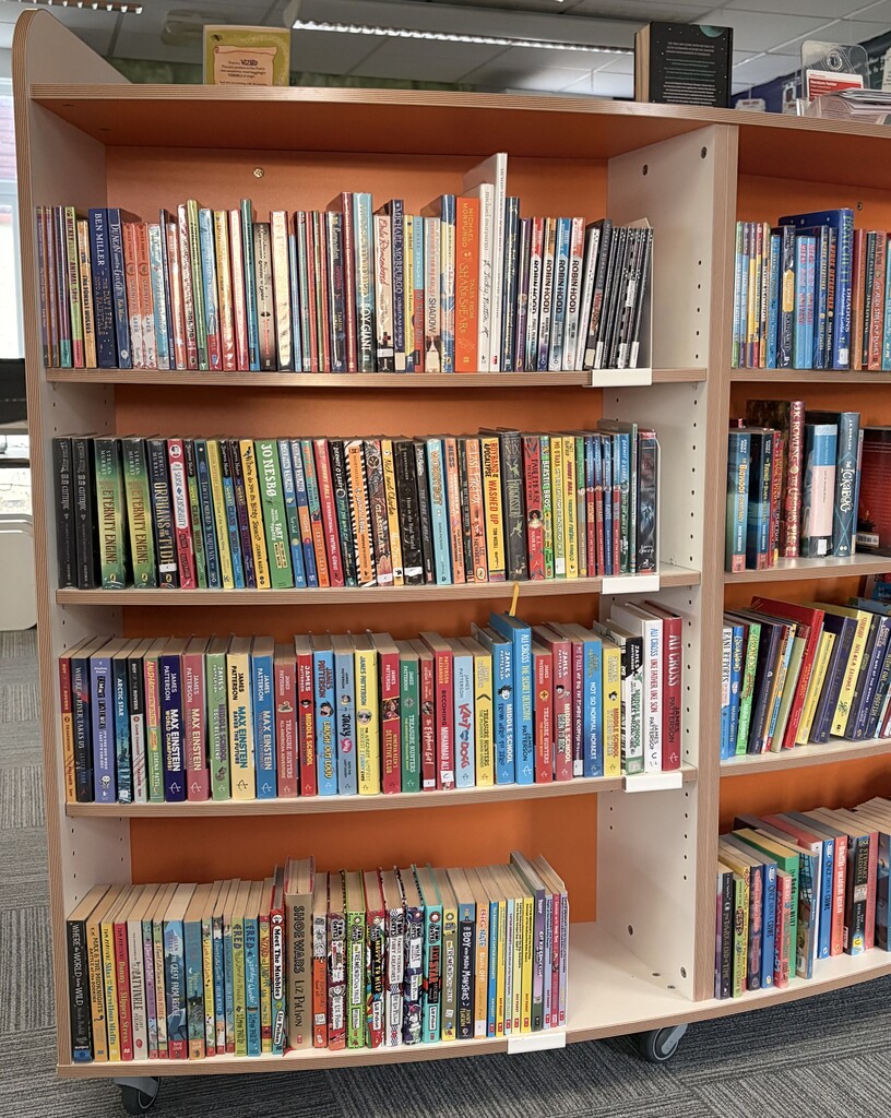 Dalry Library Consultation 