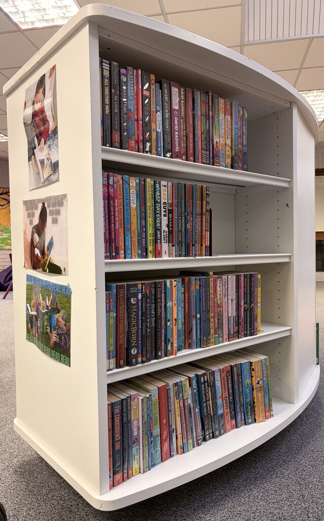 Fairlie Library Consultation