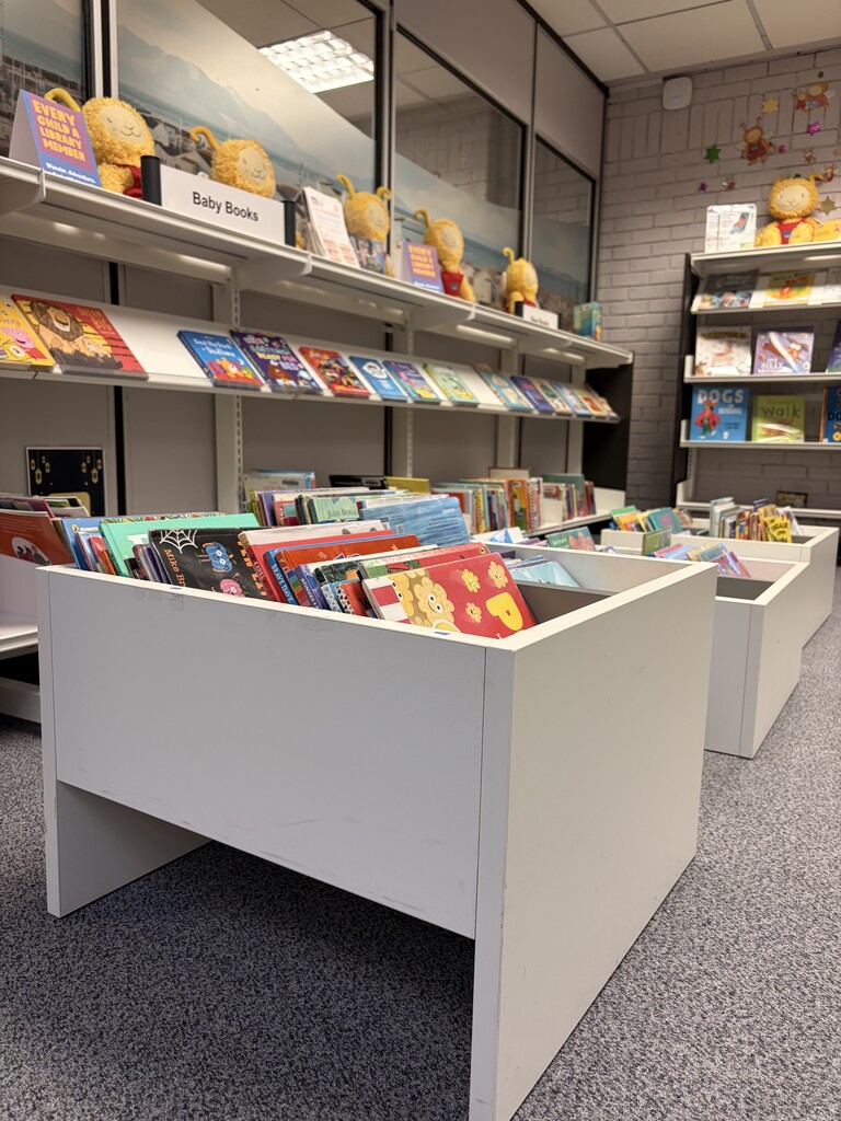 Irvine Library Consultation 