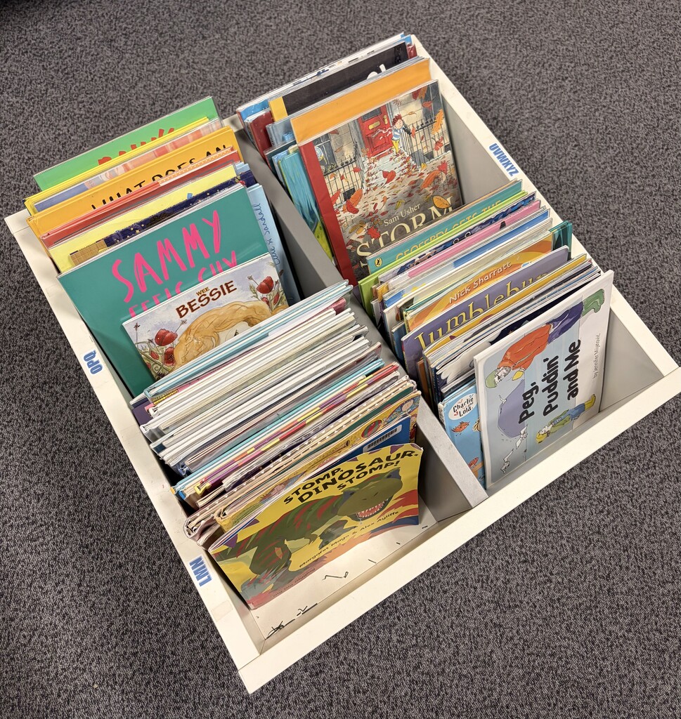 Kilbirnie Library Consultation 