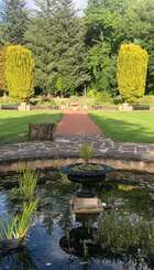 Douglas Park Pond