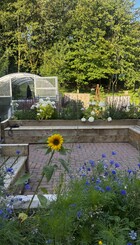 West Kilbride Children's Garden: Growing All Year