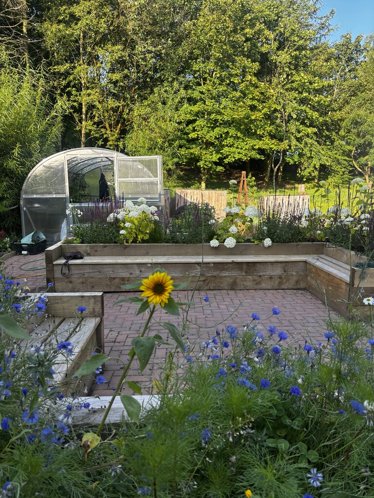 West Kilbride Children's Garden: Growing All Year