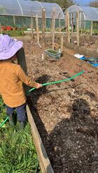 Watering the Garden