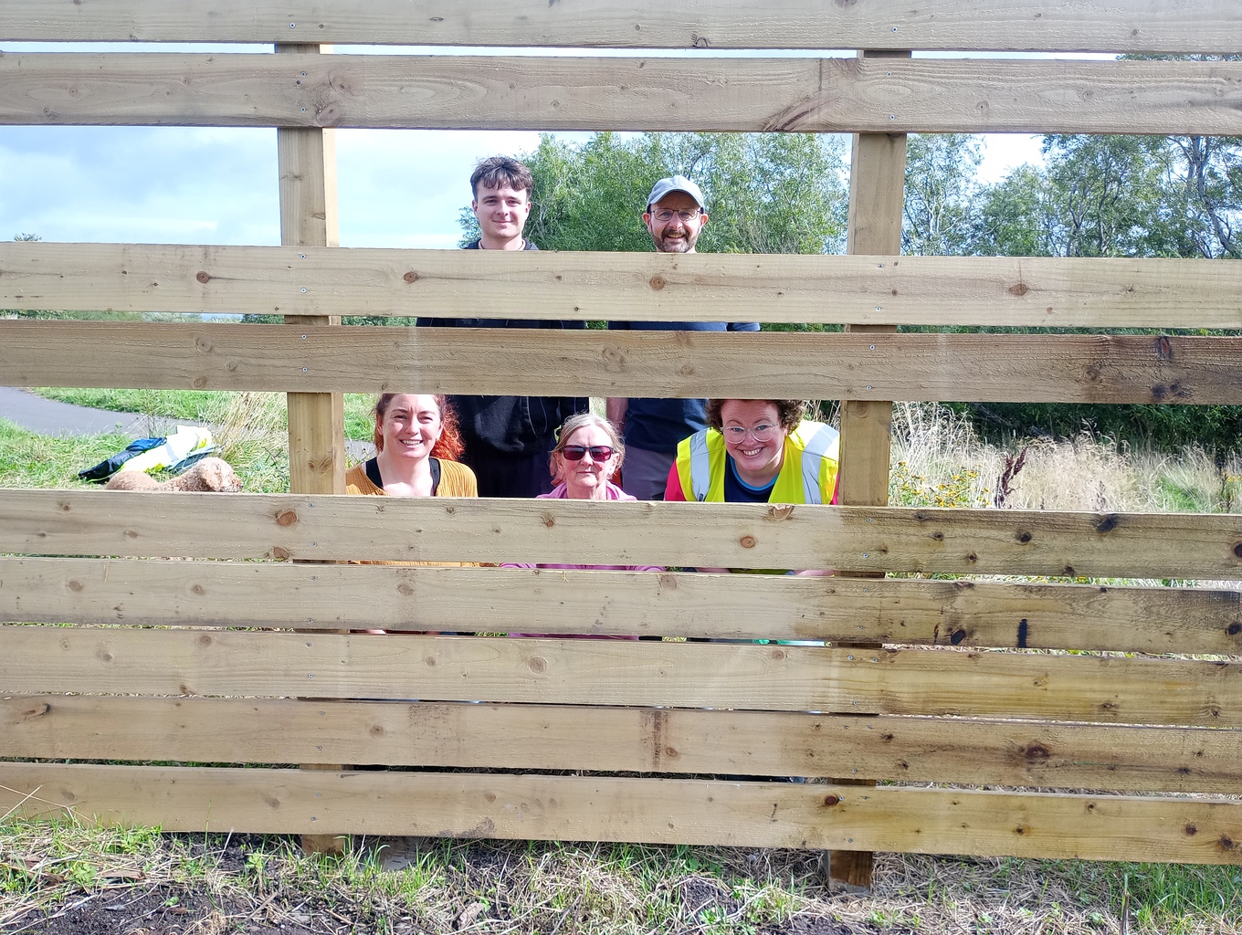 Bird viewing screen builders