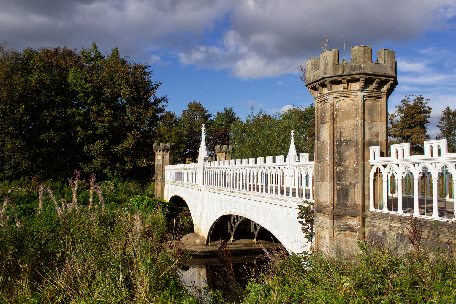 Scenic Eglinton Park Stella Shek Oct 2022 (18).jpg