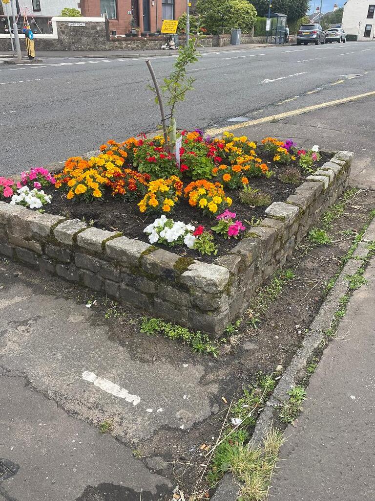 FlowerbedWednesday19thAug.jpg