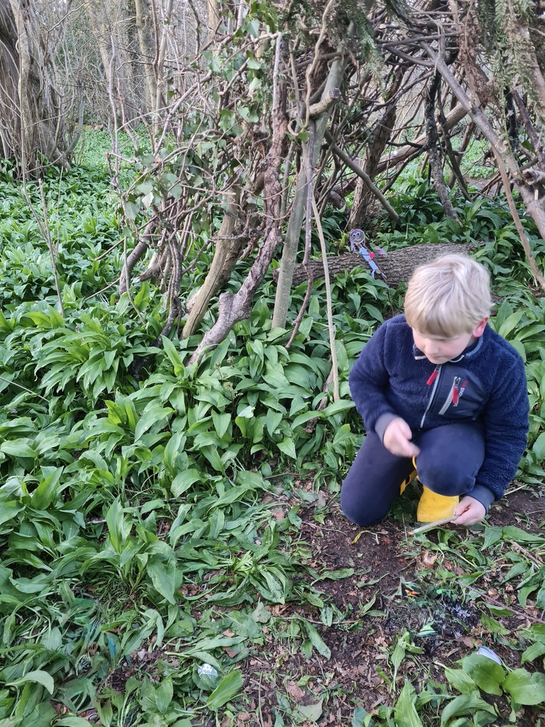 Finding a rainbow in the green