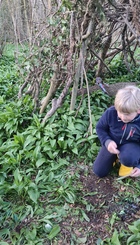 Finding a rainbow in the green