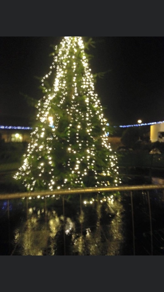 Stevenston Christmas Tree