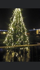 Stevenston Christmas Tree