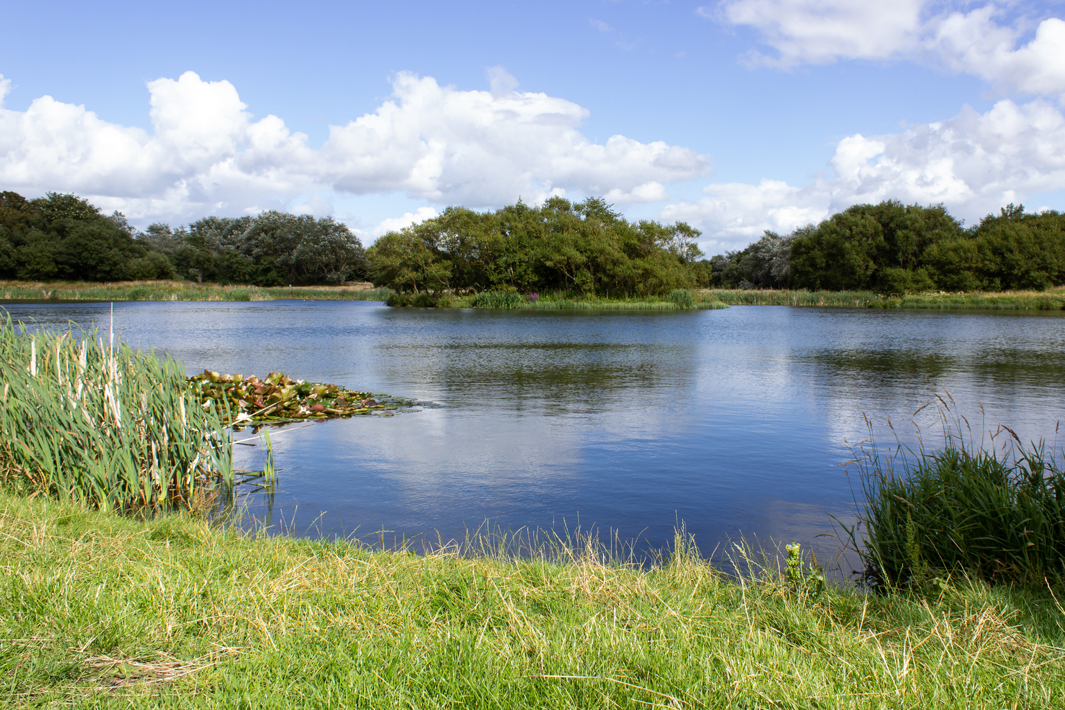 Scenic Ardeer Quarry Local Nature Reserve Sep 2022 Stella Shek (3).jpg