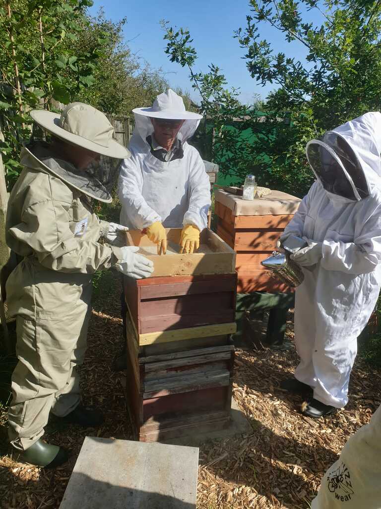 Garnock Valley Allotment BeeKeepers at Work