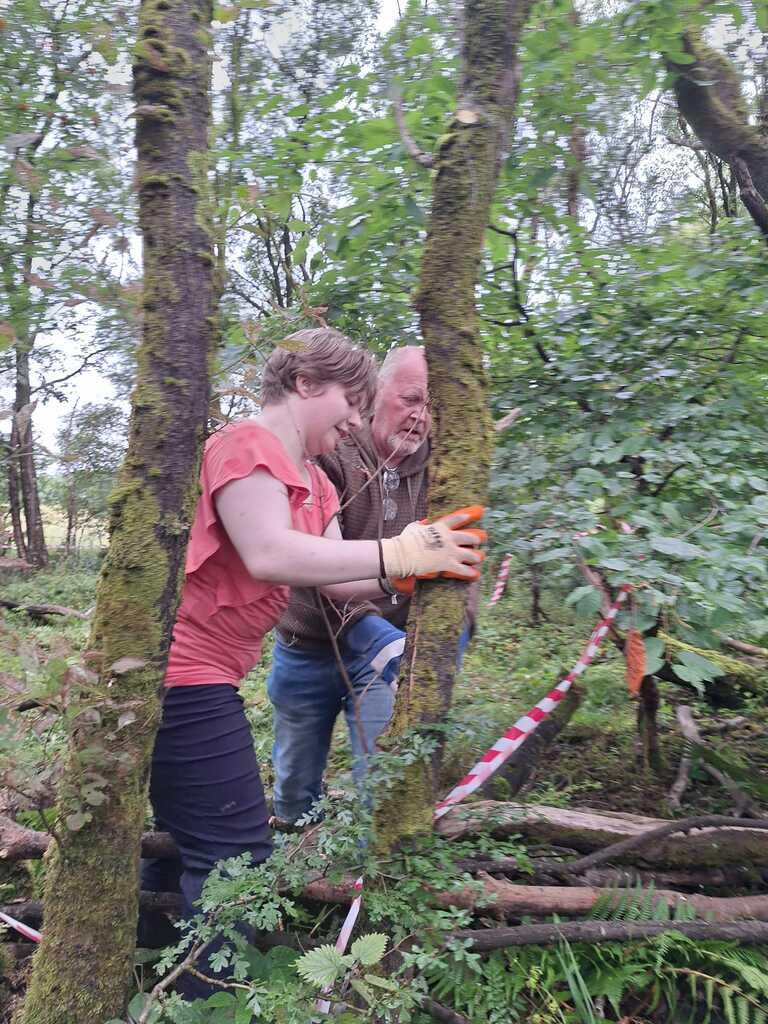 Volunteers of all ages working together.