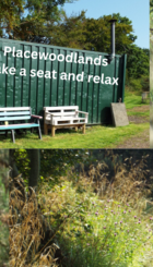 Placewoodland.png