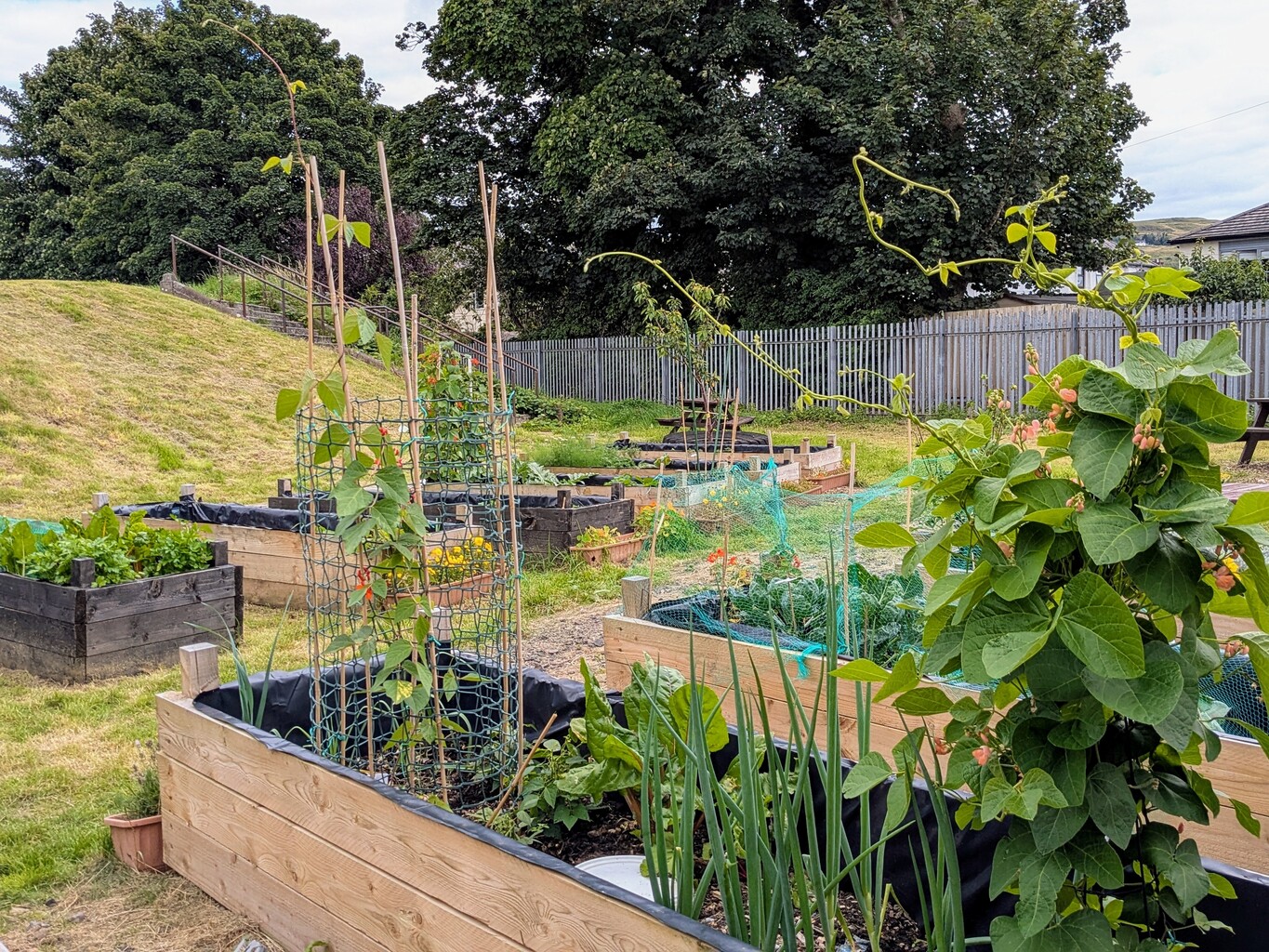 Barrfields Community Garden