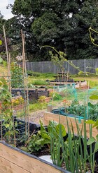 Barrfields Community Garden