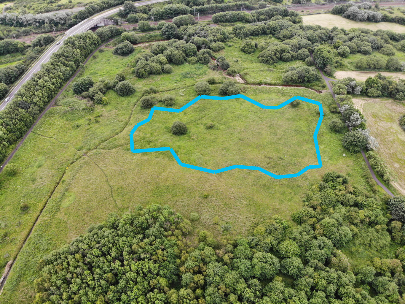 Ardeer Quarry Local Nature Reserve, with the proposed wetland outlined in blue.