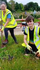 Planting wild flowers