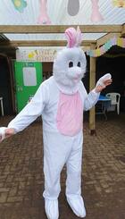 Easter Bunny at Eglinton Growers